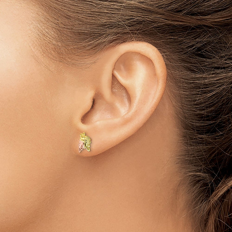 10k and 12k Tri-color Black Hills Gold Grapes and Leaves Post Earrings