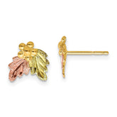 10k and 12k Tri-color Black Hills Gold Grapes and Leaves Post Earrings