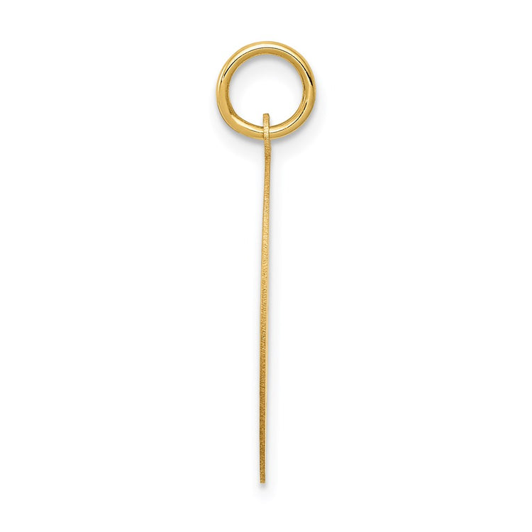 14k WRESTLING 19mm Engravable Disc Charm