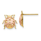 14k Two-Tone Satin and Polished Ladybug Post Earrings