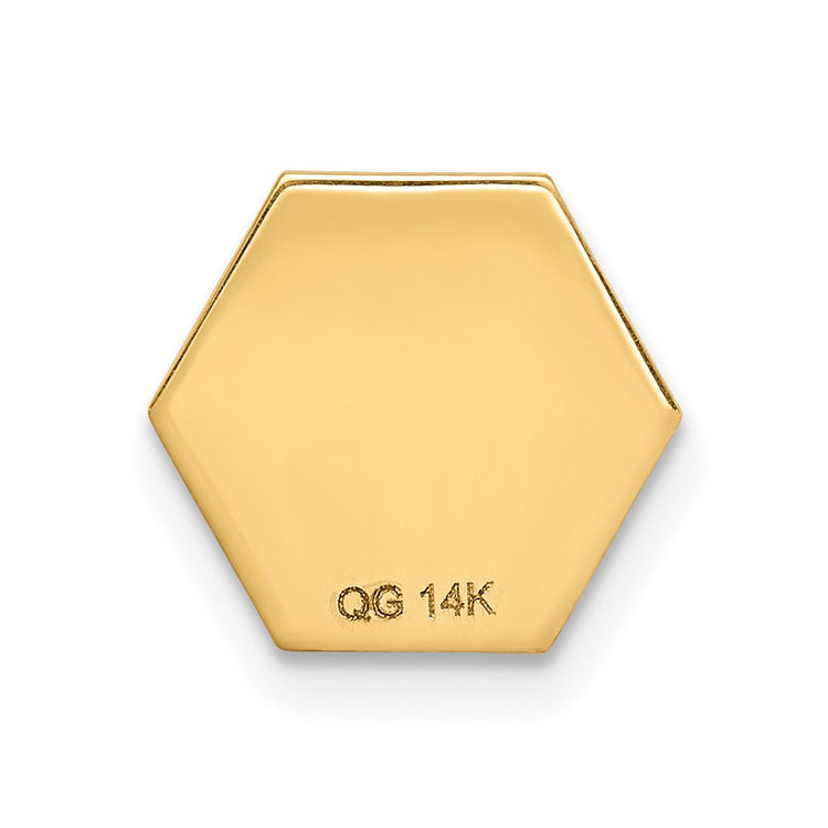 14k 9.5mm Hexagon Non-enameled Attachable Medical Jewelry Emblem
