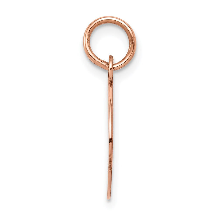 14k Rose Gold Plain .013 Gauge Round Engraveable 12mm Disc Charm