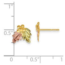10k and 12k Tri-color Black Hills Gold Grapes and Leaves Post Earrings
