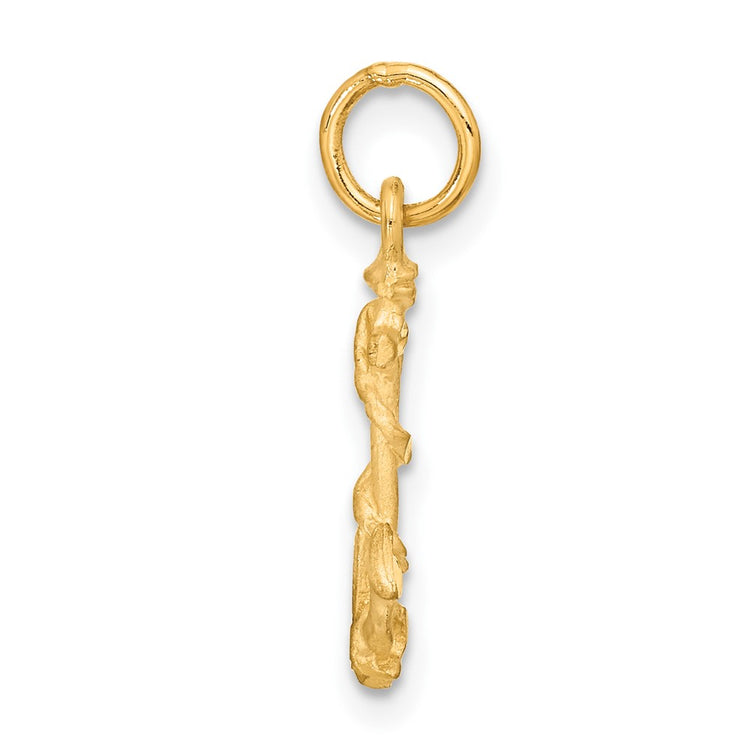 14k 3-D Satin Diamond-cut Anchor with Rope Charm