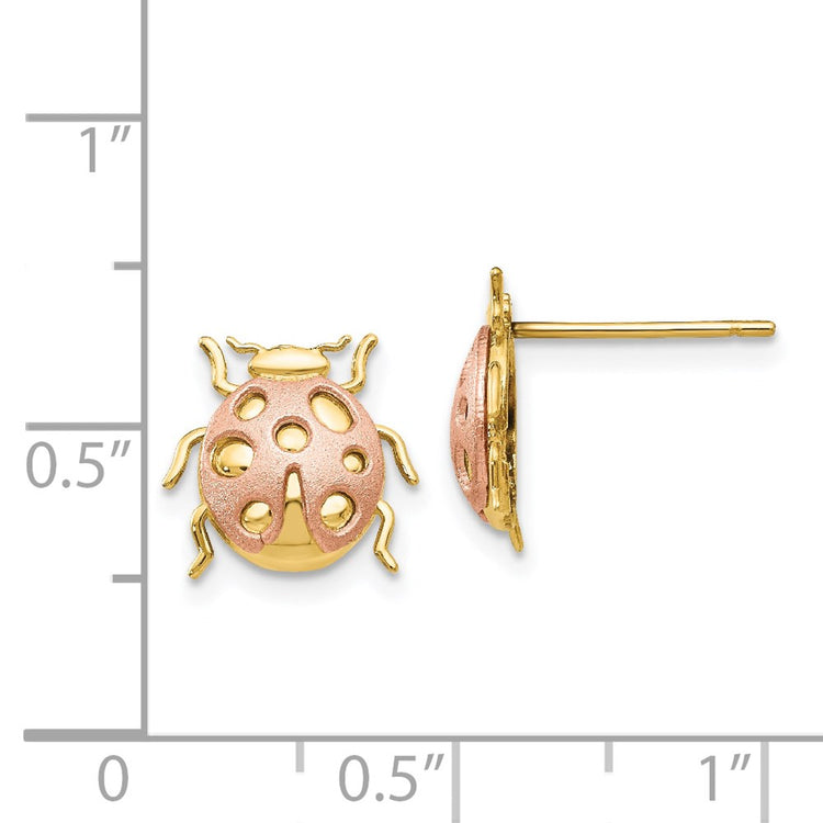 14k Two-Tone Satin and Polished Ladybug Post Earrings