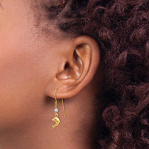 14K Two-tone Puffed Dolphin French Hook Earrings