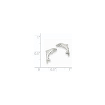 14k White Gold Dolphin Post Earrings