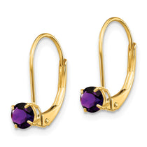 14k 4mm Round February/Amethyst Leverback Earrings