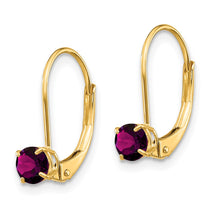 14k 4mm Round June/Rhodolite Garnet Leverback Earrings