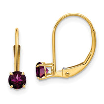 14k 4mm Round June/Rhodolite Garnet Leverback Earrings