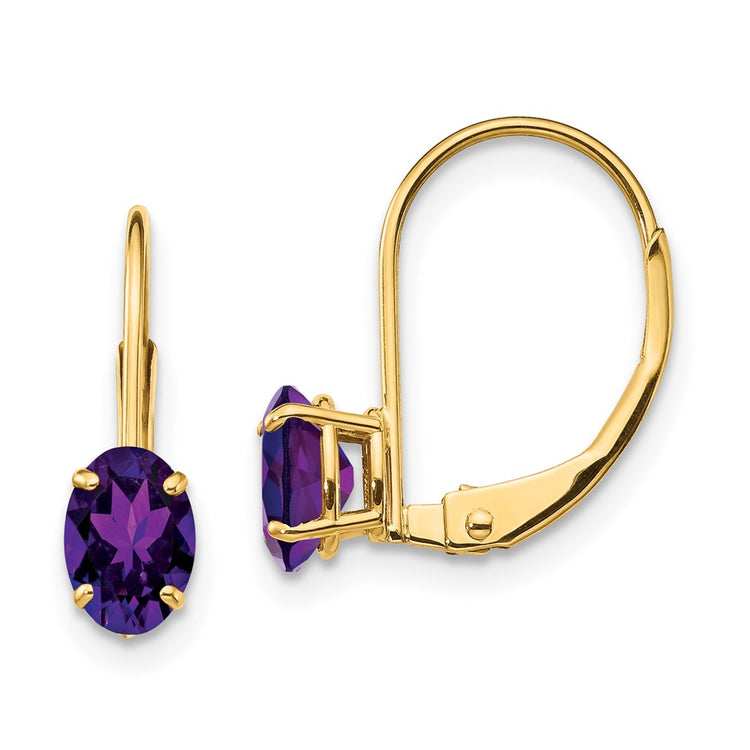 14k 6x4mm Oval Amethyst Leverback Earrings
