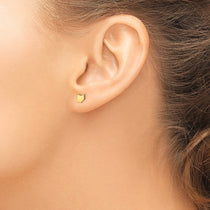 14KY Ohio State Earrings