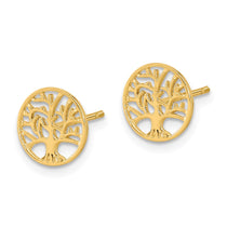 14k Polished Tree of Life in Circle Post Earrings